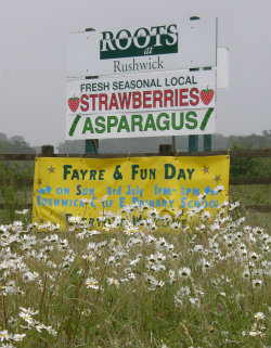 Sign for Farm shop selling Asparagus